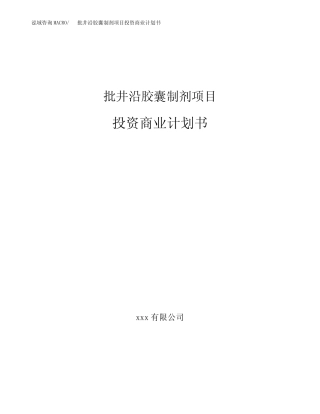 批井沿胶囊制剂项目投资商业计划书范本(投资融资分析)
