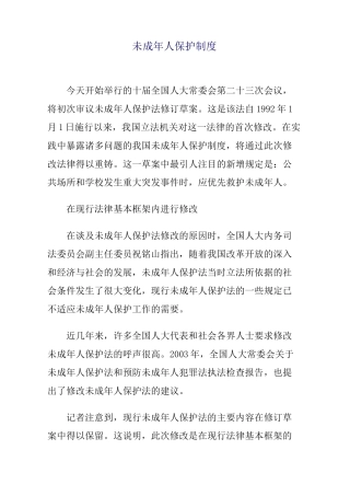 未成年人保护制度 