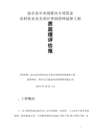人饮监理质量评估报告