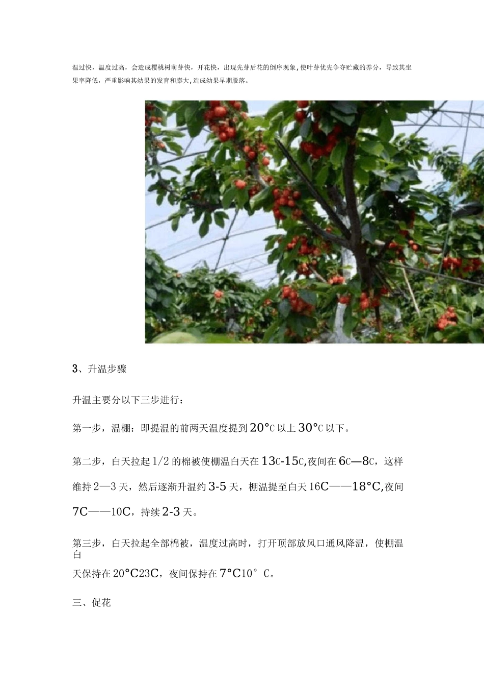 大棚樱桃管理技术要点_第3页