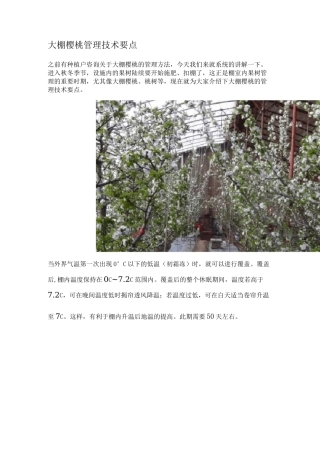 大棚樱桃管理技术要点