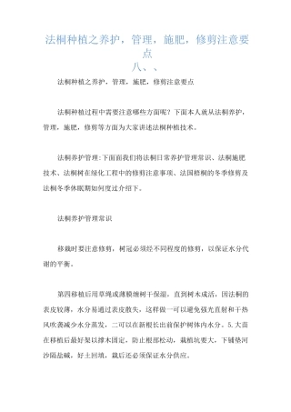 法桐种植之养护,管理,施肥,修剪注意要点