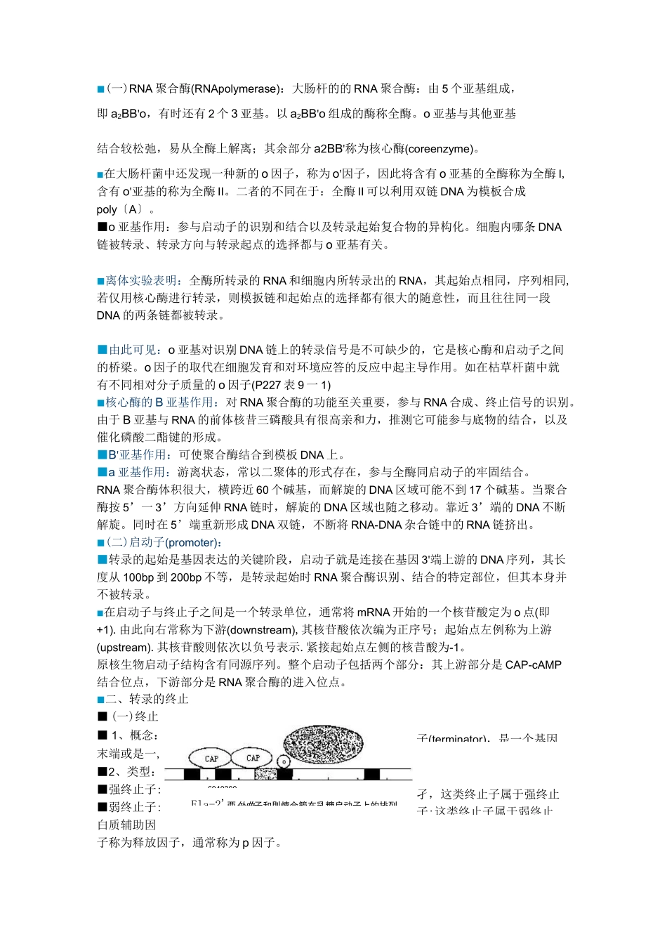 原核生物基因表达与调控_第2页