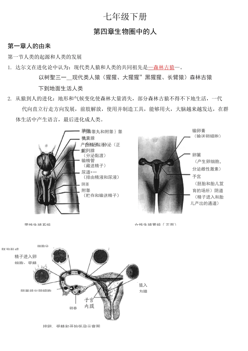 七下生物复习资料_第1页