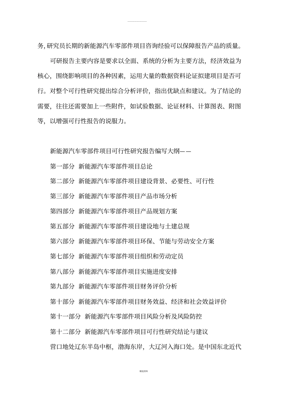 新能源汽车零部件项目可行性研究分析报告_第3页