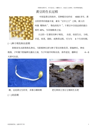 新黄豆的生长过程图解