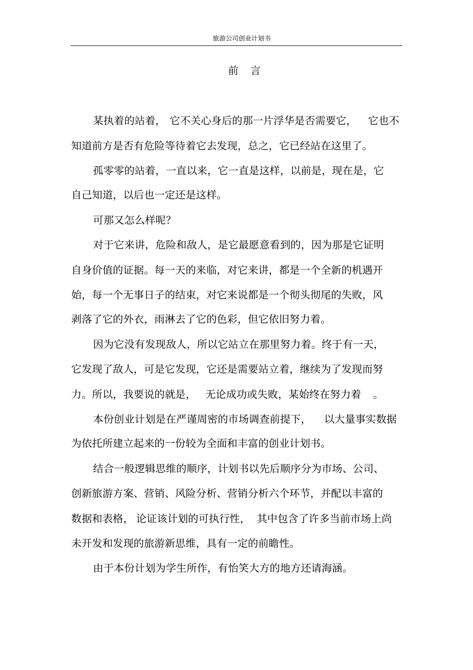 旅游公司创业计划书_第2页