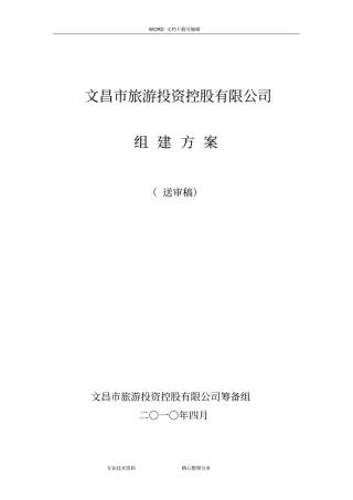 旅游控股组建方案总结