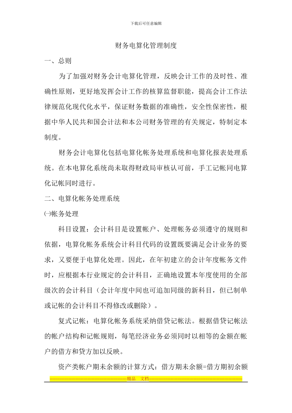 财务电算化管理制度_第1页