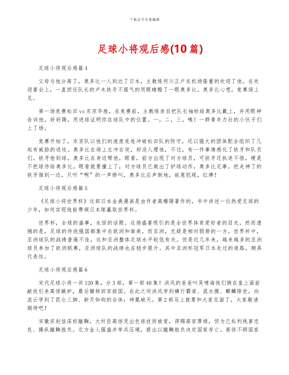 足球小将观后感_第1页