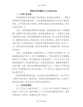 销售员试用期转正工作总结2024