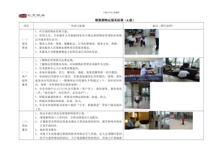 销售期物业服务标准