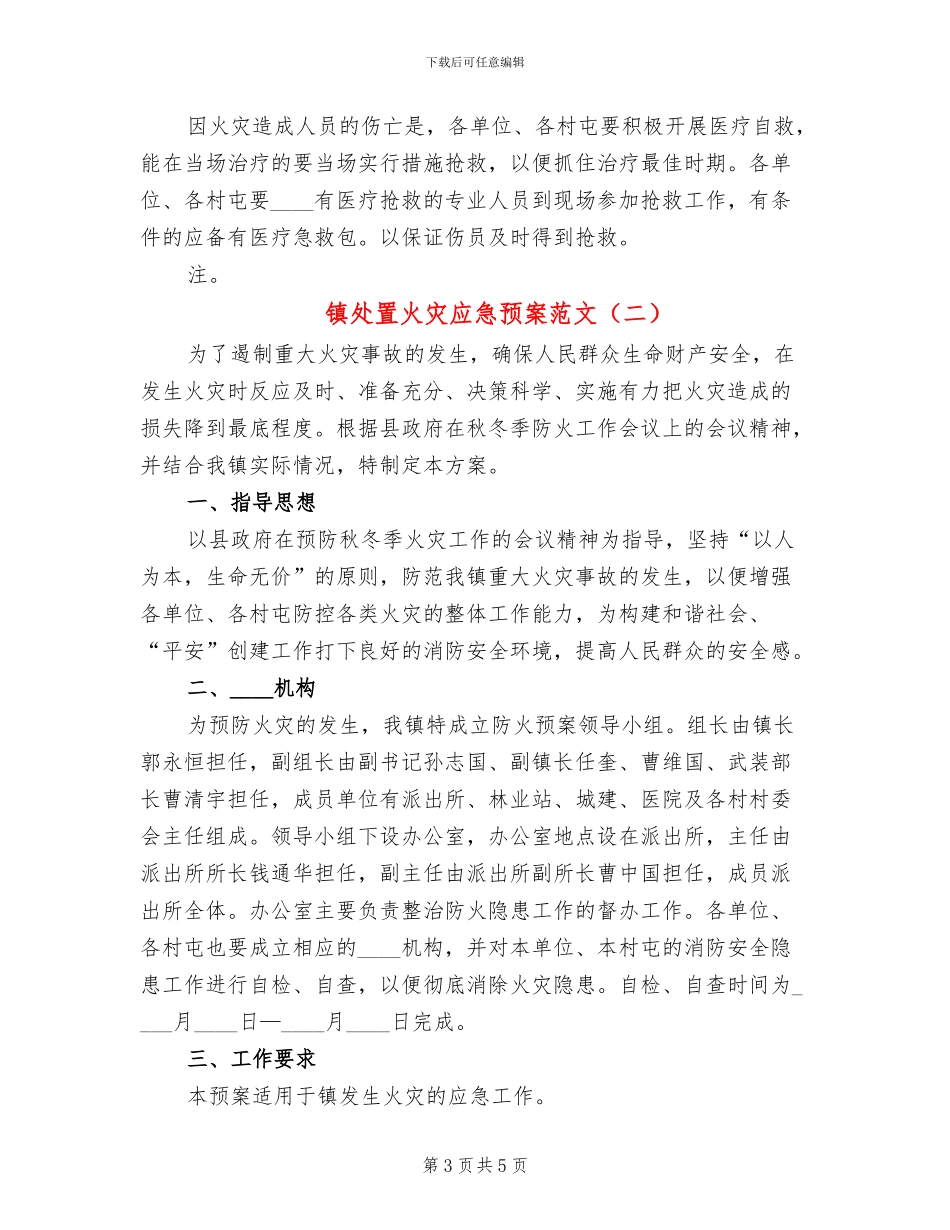 镇处置火灾应急预案范文_第3页