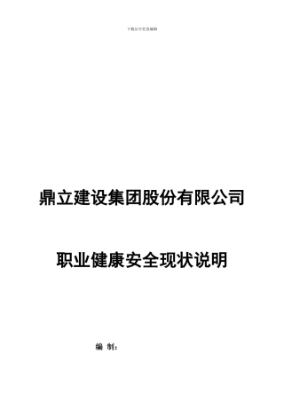 鼎立建设职业健康安全现状说明.