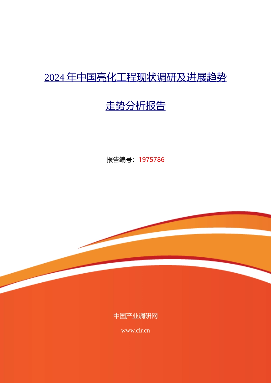 2024年亮化工程市场调研及发展趋势预测-_第1页