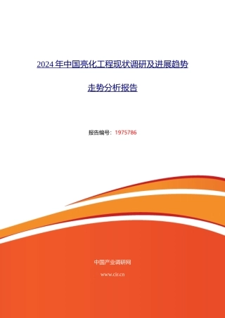 2024年亮化工程市场调研及发展趋势预测-