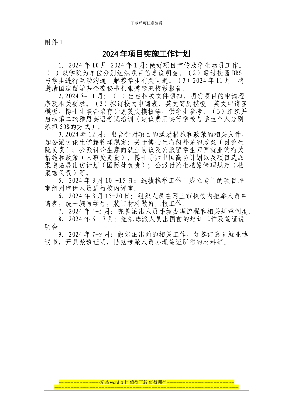 2024年项目实施工作计划_第1页