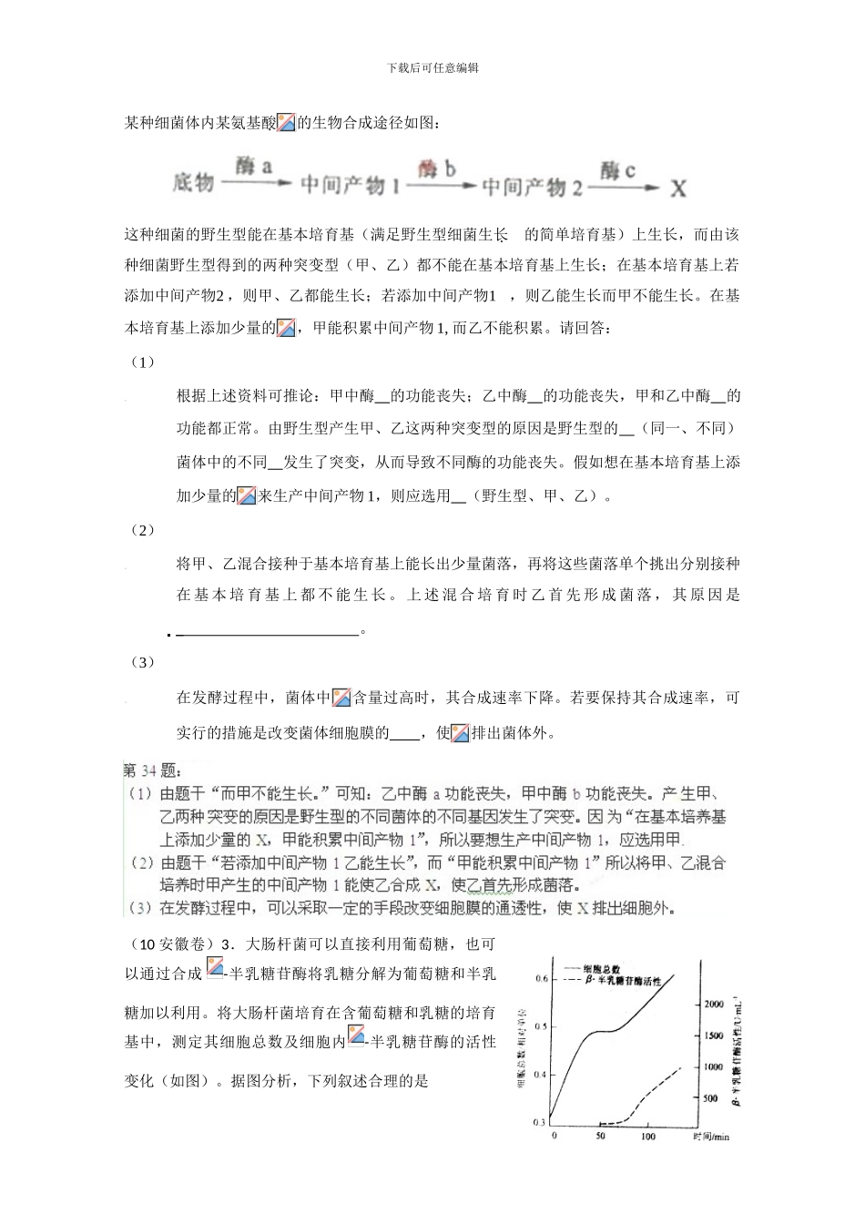 2024年高考生物试题分类汇编--微生物及发酵工程_第2页