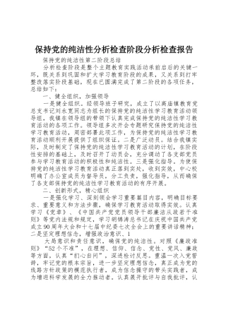 保持党的纯洁性分析检查阶段分析检查报告_1