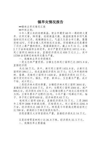 镇旱灾情况报告