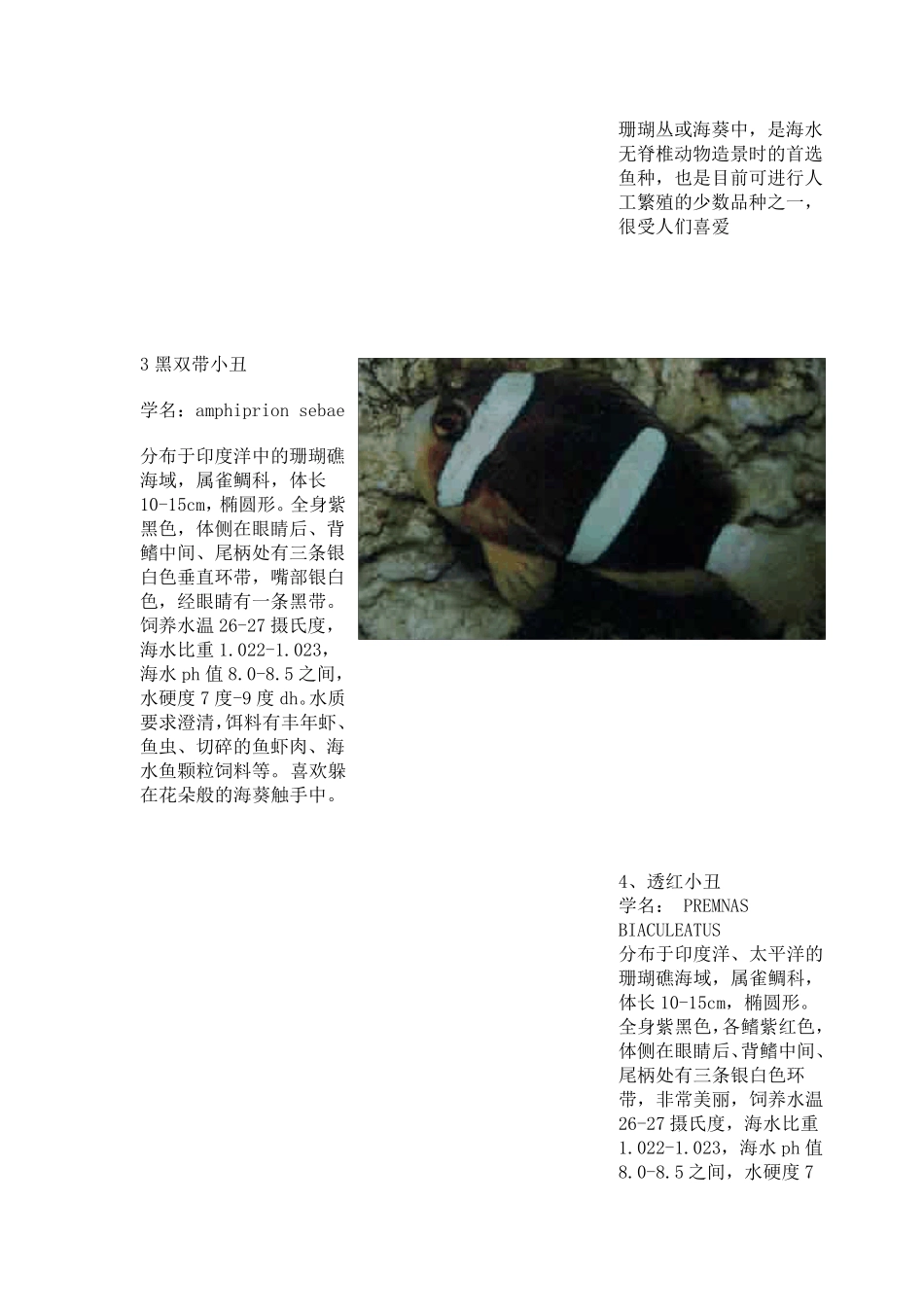 热带海水观赏鱼图鉴_第2页