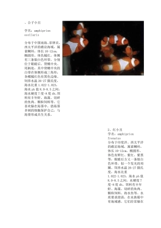 热带海水观赏鱼图鉴