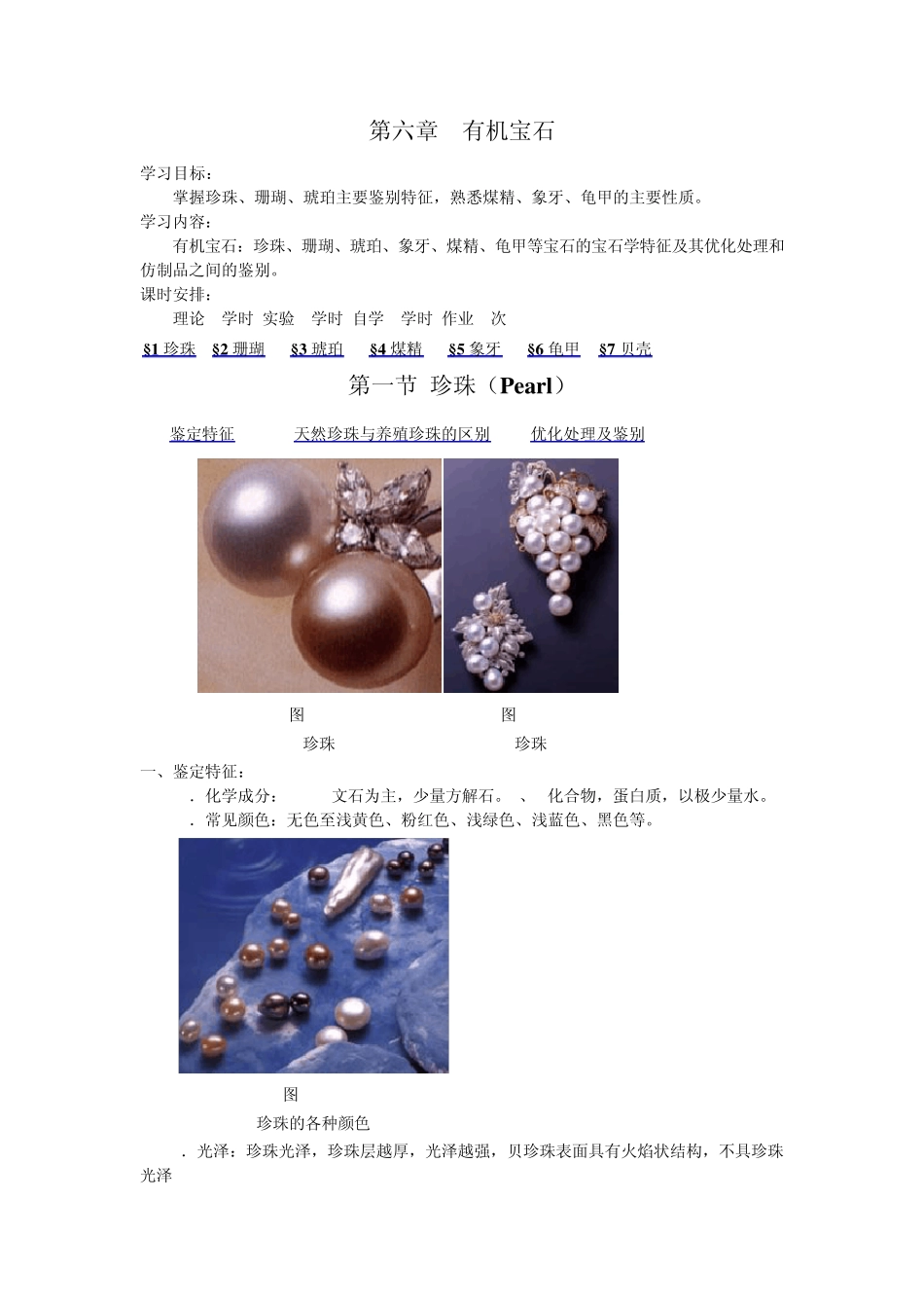 第六章有机宝石_第1页