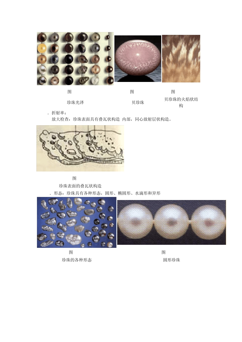 第六章有机宝石_第2页