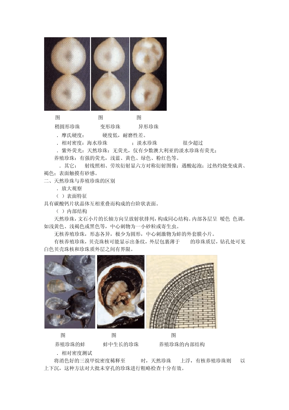 第六章有机宝石_第3页