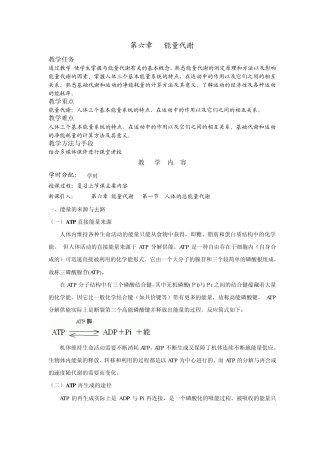 第六章能量代谢