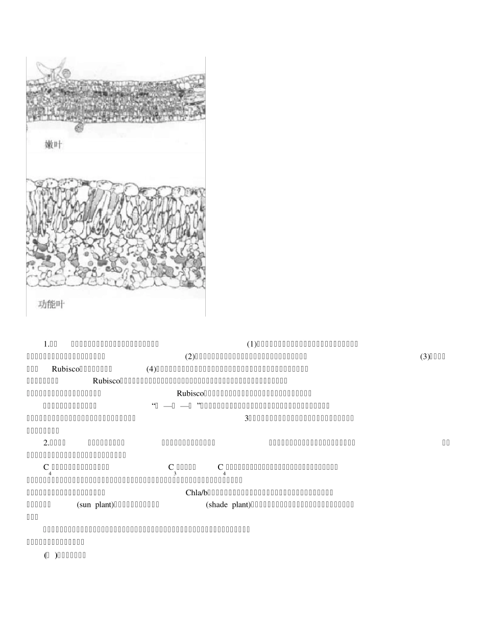 第六节影响光合作用的因素_第2页