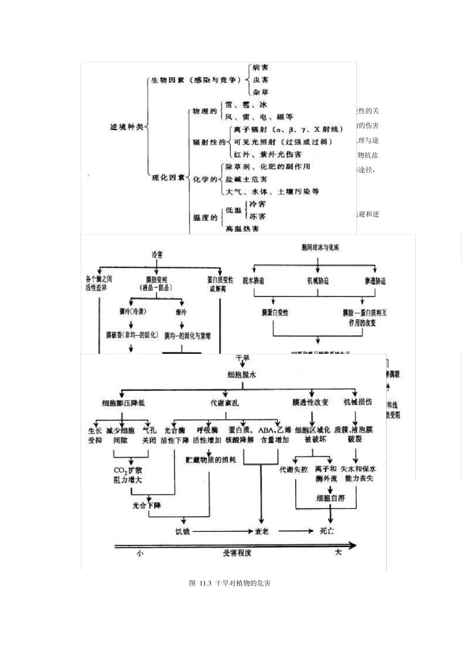 第十一章植物的逆境生理_第1页