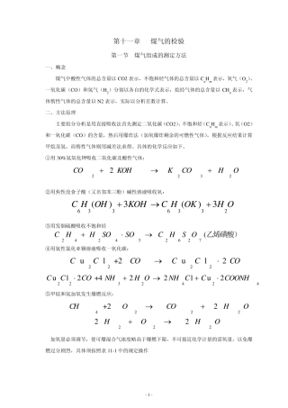第十一章煤气的检验