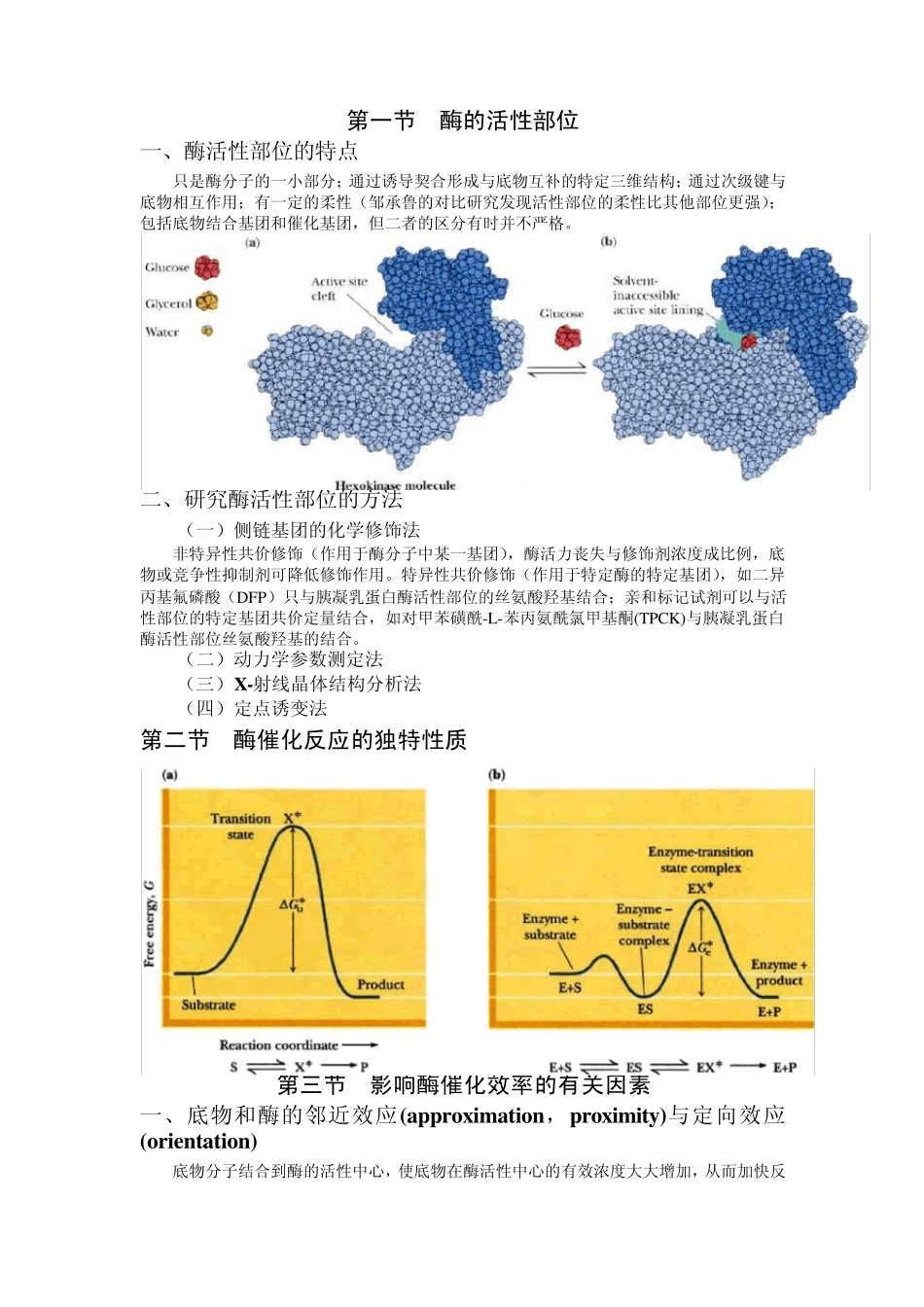 第十章酶的作用机制和酶的调节_第1页