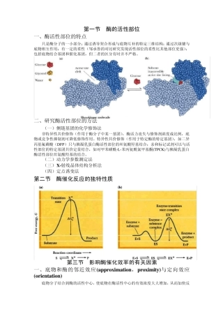 第十章酶的作用机制和酶的调节