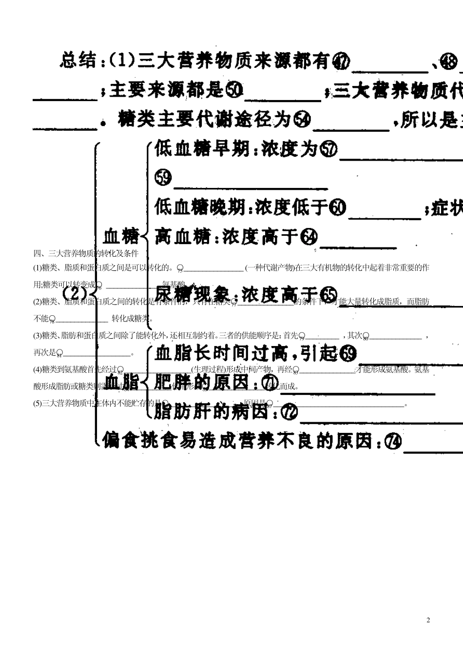 第四节生物体内营养物质的转变_第2页