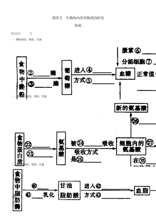 第四节生物体内营养物质的转变