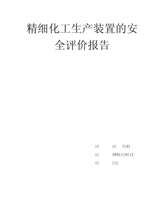 精细化工安全评价报告