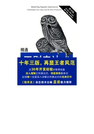 精通正则表达式