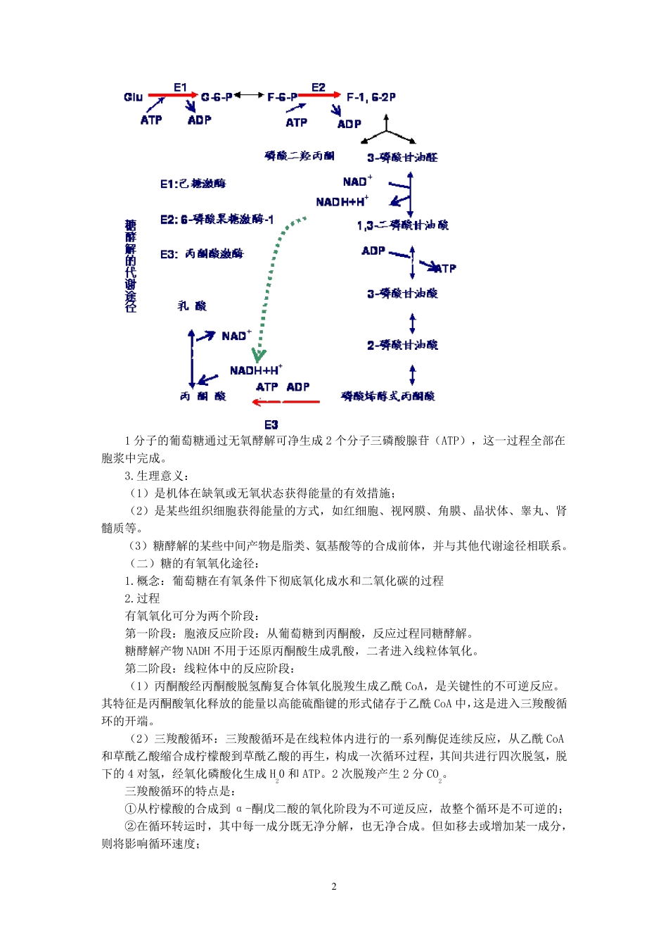 糖代谢紊乱及糖尿病的检查_第2页