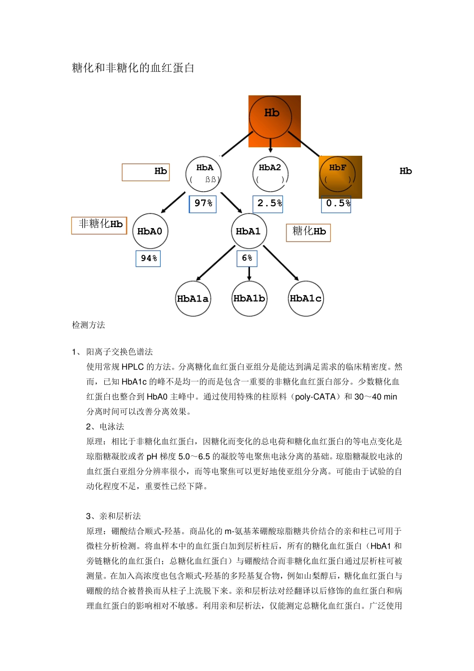 糖化血红蛋白_第3页