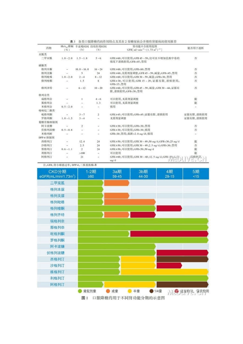 糖尿病肾病选用降糖药方案_第3页