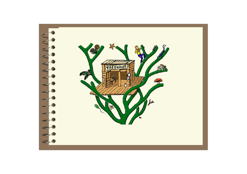 系统发生分析_第3页