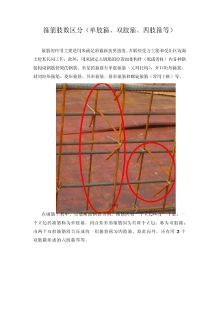 系统的区分箍筋肢数