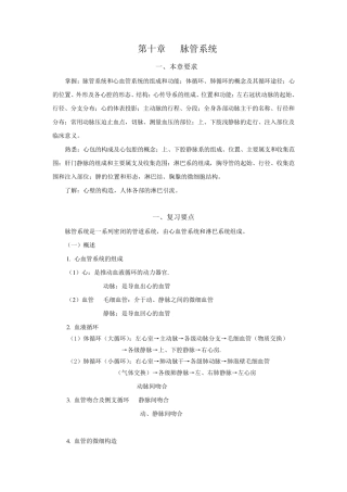系统解剖——脉管系统