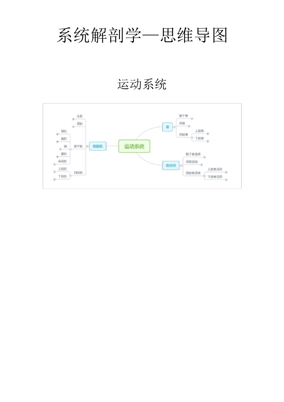 系统解剖学—思维导图_第1页