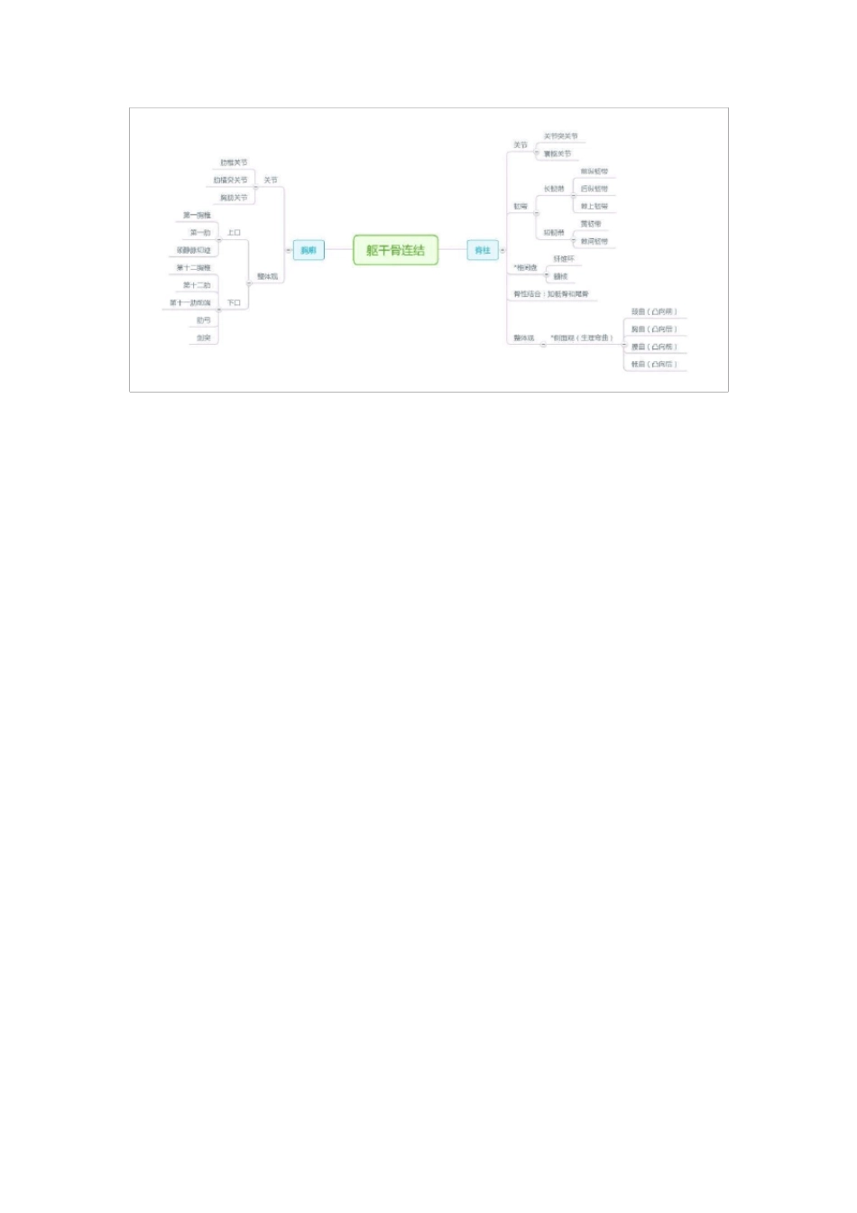 系统解剖学—思维导图_第2页