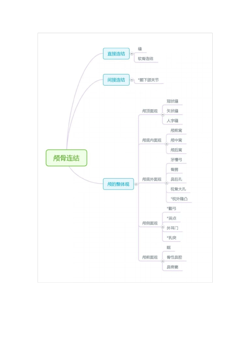 系统解剖学—思维导图_第3页