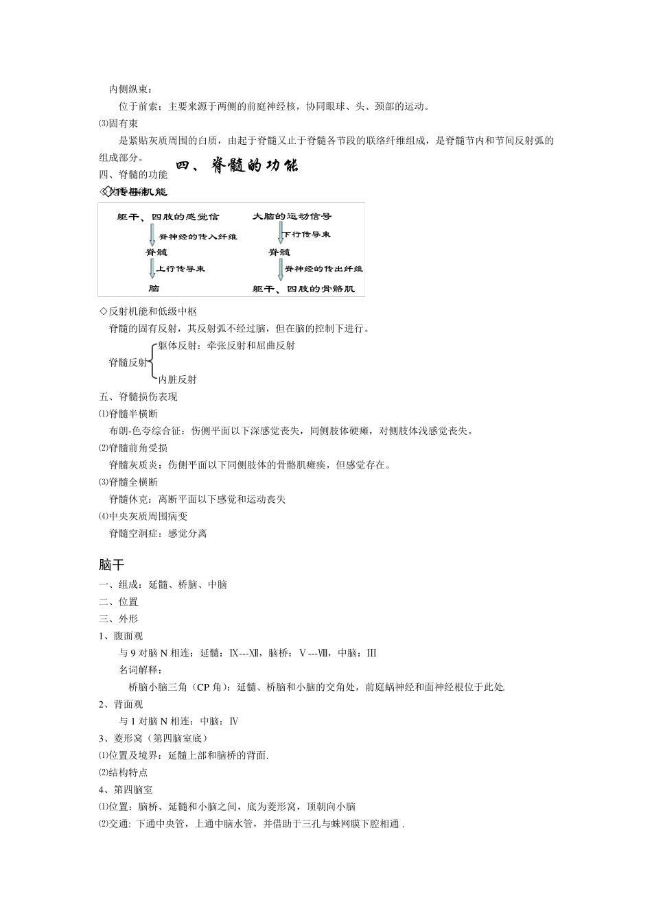 系统解剖学笔记(中枢神经)_第3页