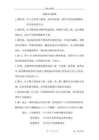 系解名词解释